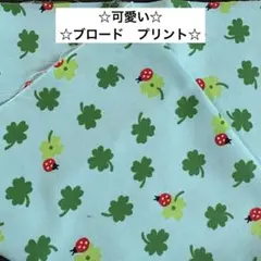 25a☆可愛い☆ブロード☆プリント☆