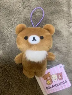 チャイロイコグマ　ラウンドワン限定