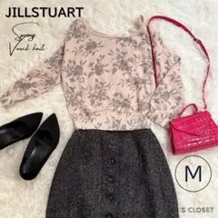 ジルスチュアート　JILLSTUART 秋Vネックニット　M　ピンクベージュ