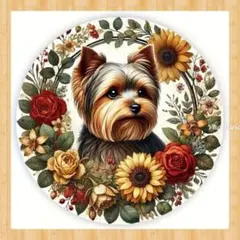 ヨーキーLOVER様 リクエスト 3点 まとめ商品