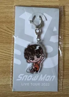 すのチルぶら下がりシリーズ(アクリルキーホルダー) 向井康二ver.