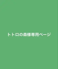 トトロの森様専用ページ