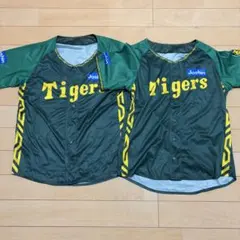 阪神タイガース ウル虎の夏2024 ユニフォーム 2点セット 応援 グリーン