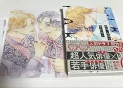BL 漫画 セット アニメイト特典付き 25冊 アニメイトだけの特典付き!! BL・ブロマンス作品「アニメイトセット