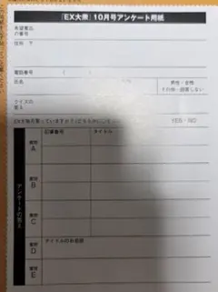 EX大衆/１０月号/アンケート用紙/３枚/表紙/金村美玖/日向坂46