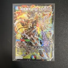 【美品】双龍調王 モルトVERSUS