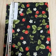 55㎝／はぎれ/シンプルなイチゴ畑のオックスプリント/ブラック