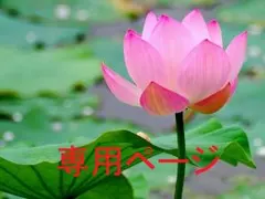 りったん様専用☆長財布ブラック