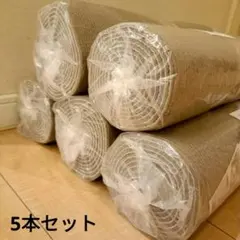 Item thumbnail for item 5ab1a676-34ab-4686-8fc7-04847c69669e