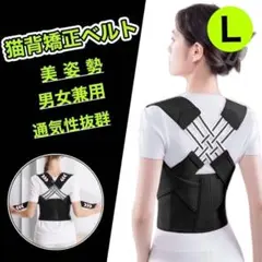 Item thumbnail for item 476625c8-c90c-4fcb-827a-845751d4c5a8