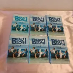 비치 보이즈 컴플리트 6권 DVD 세트 ☆