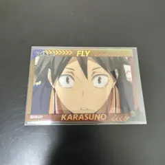 ハイキュー!! 山口忠 トレーディングカード 166