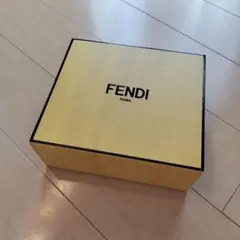 FENDI フェンディ 空箱 保存袋2枚 計3点セット BOX ショップ袋 FENDI - FENDI 空箱3 袋2の通販 by まめちゃ's shop｜フェンディ