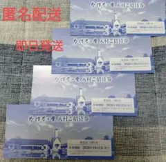 なばなの里　チケット　4枚　入村招待券　イルミネーション　ナガシマリゾートのサムネイル