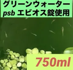 グリーンウォーター(psb 光合成細菌　ホテイアオイ　メダカ　水草　ゾウリムシのサムネイル