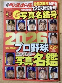 Item thumbnail for item ff3881dd-31be-4311-a454-74fa9dee95a8