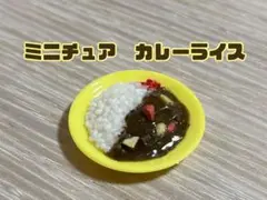 ♡ミニチュア♡ カレーライス　辛口