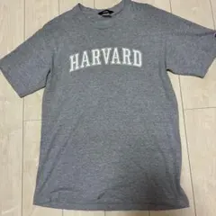 Champion HARVARD Tシャツ L USA製 グレー