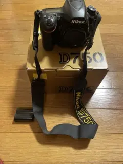 Item thumbnail for item b048ece4-fad6-41f7-90de-6fd355b70960