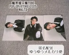 龍宮城 Ray 竹内黎 生写真 WALTZ セミコンプ