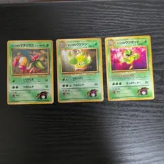ポケモンカード エリカの進化ライン 3枚セットのサムネイル