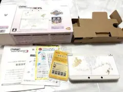 Nintendo 3DS マジックキャッスル 限定品