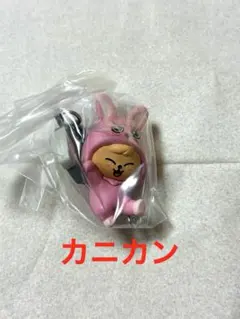 Stray Kids スキズ SKZOO つまんでつなげてますこっとvol.2