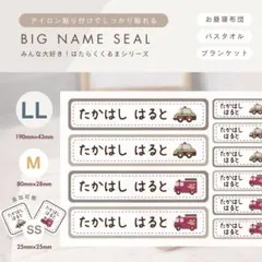 Item thumbnail for item 78c855a9-ac83-42c0-a9a9-4a31f38bf8aa