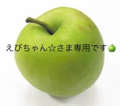 えびちゃん☆さま専用です