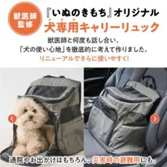 新品☆いぬのきもち☆キャリーリュック☆ひんやりキルトマット付☆のサムネイル
