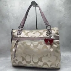 COACH 7025 ミニシグネチャー ピンク Y2K ショルダーバッグ - メルカリ