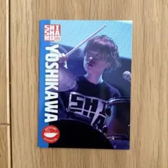 SHISHAMO 宮崎朝子 トレーディングカード 2枚セット - メルカリ