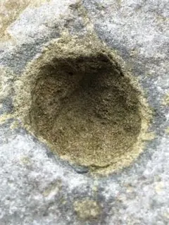 Item thumbnail for item 070d8d41-56b0-41c7-b450-2a2cfb421ab0