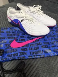 Nike Tiempo Legend VII Elite FG 西川周作 - メルカリ