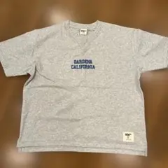 SHIPS any Collegiate Pacific Tシャツ 新品見着用