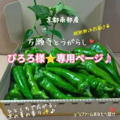 ぴろろ様⭐️専用ページですのサムネイル
