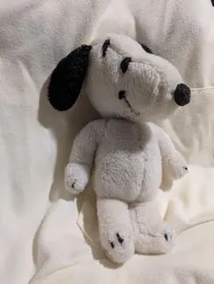 ハワイ限定 PEANUTS 日焼け スヌーピー ぬいぐるみ moni モニ - メルカリ