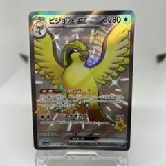 ピジョットex sr