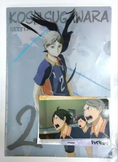 【5/15削除予定】ハイキュー クリアファイル 菅原孝支