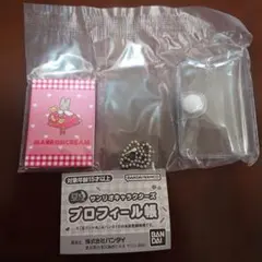 サンリオキャラクターズ　プロフィール帳　マカロンクリーム