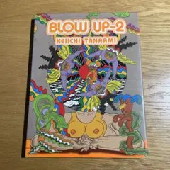 田名網敬一 BLOW UP-2 作品集 Keiichi Tanaami 初版 - メルカリ