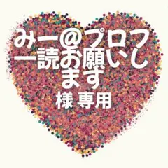 みー@プロフ一読お願いします 様　専用ページ