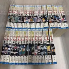 全巻初版帯付ジャンパラ付】D.Gray-man 1〜29巻 関連本付 - メルカリ