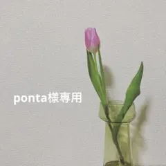 【ponta様専用】しろくま貯金箱　かき氷　いちごセット（お花無し）