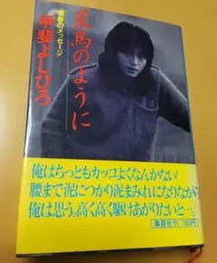 荒馬のように 甲斐よしひろ