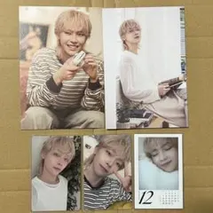 &TEAM シーグリ 2026 NICHOLAS セット