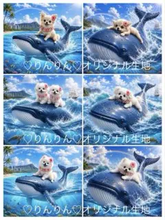 シマエナガとポメラニアン、柴犬、チワワ、トイプードル、マルチーズ