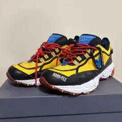 801GTX The Apartment New Balance ゴアテックスのサムネイル