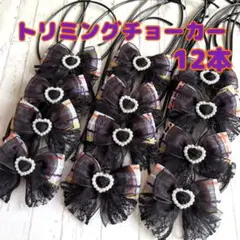 Y♡K 多肉　涼しくなるまで多肉終了様 リクエスト 6点 まとめ商品