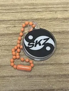 straykids スキズ KARMA NFCチャーム スンミン